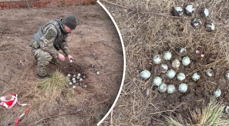 РФ сбросила на села Сумской области "кассеты": населенные пункты заминированы