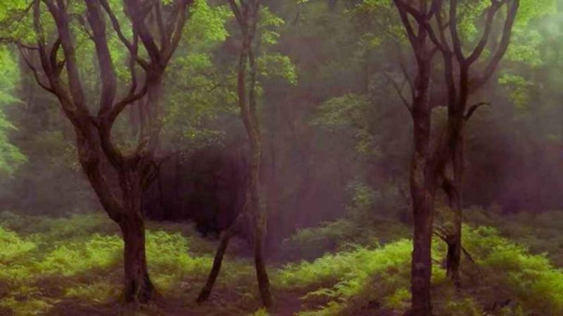 Головоломка для тих, у кого зір, як у орла: треба знайти оленя за 7 секунд