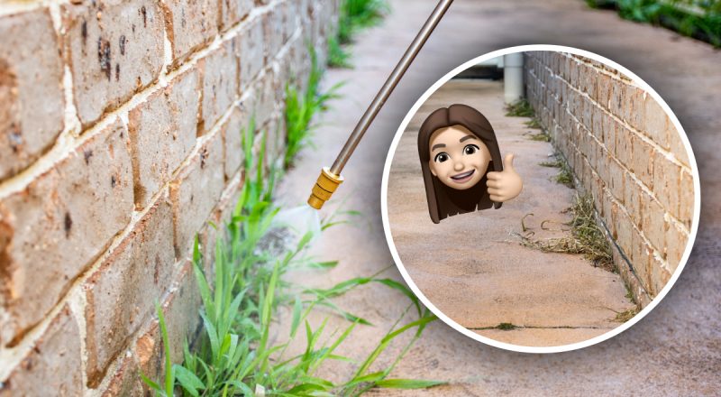 Как за 15 минут уничтожить сорняк и мох во дворе: специалисты поделились лайфхаком