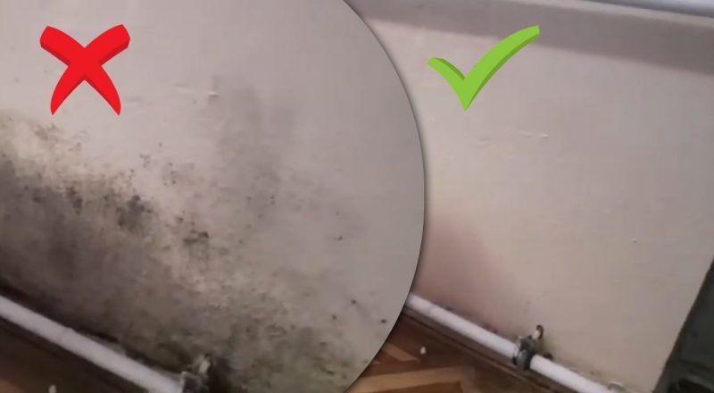 Як позбутися цвілі на стінах: скажіть плісняві "прощавай" назавжди