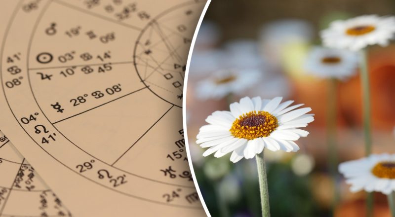 Гороскоп на сегодня 19 марта 2024: Близнецам - никакого алкоголя, Рыбам - важный звонок