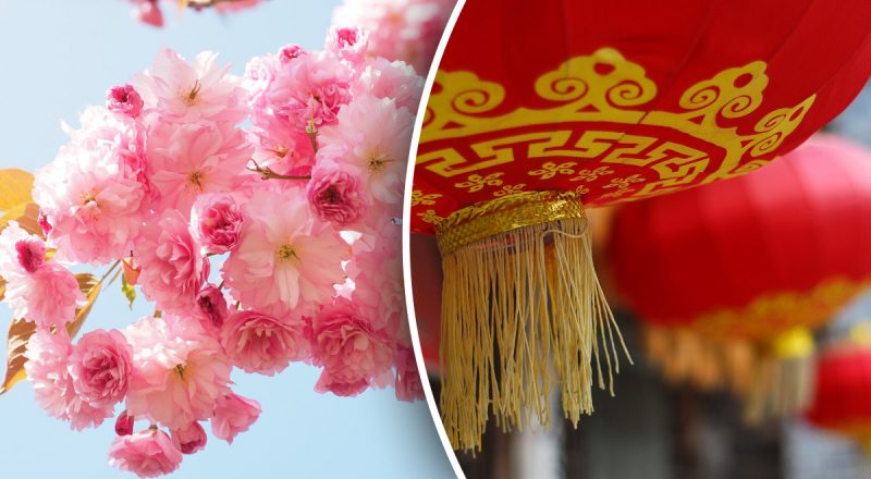 Китайский гороскоп на сегодня 19 марта: Кролики будут творить,  Быкам - романтика