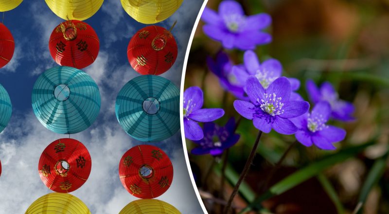 Китайський гороскоп на сьогодні 20 березня: Тиграм - негаразди у стосунках, Зміям - конфлікт