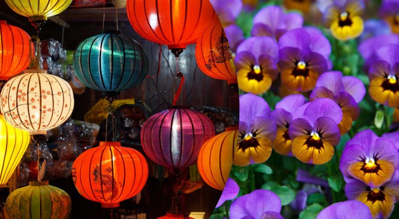 Китайский гороскоп на 23 марта: Свиньям - нервные срывы, Драконам - проблемы дома