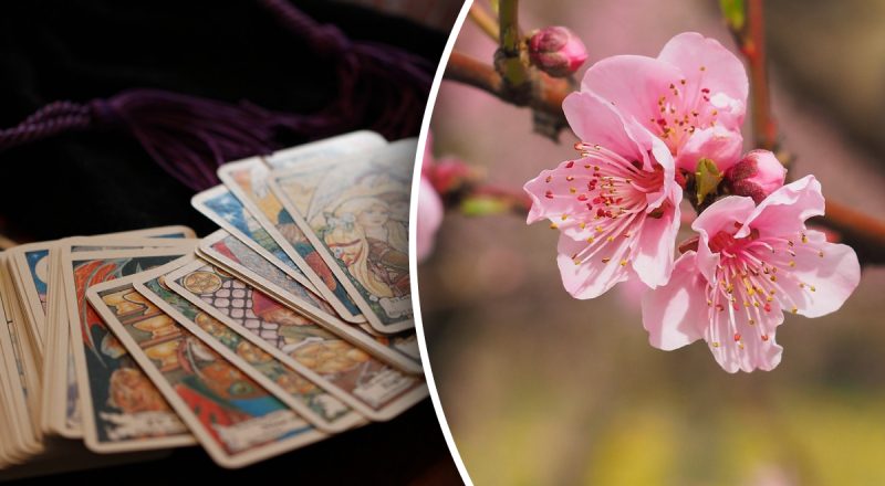 Гороскоп Таро на тиждень з 25 по 31 березня: Дівам - ризик, Риби - дайте волю фантазіям