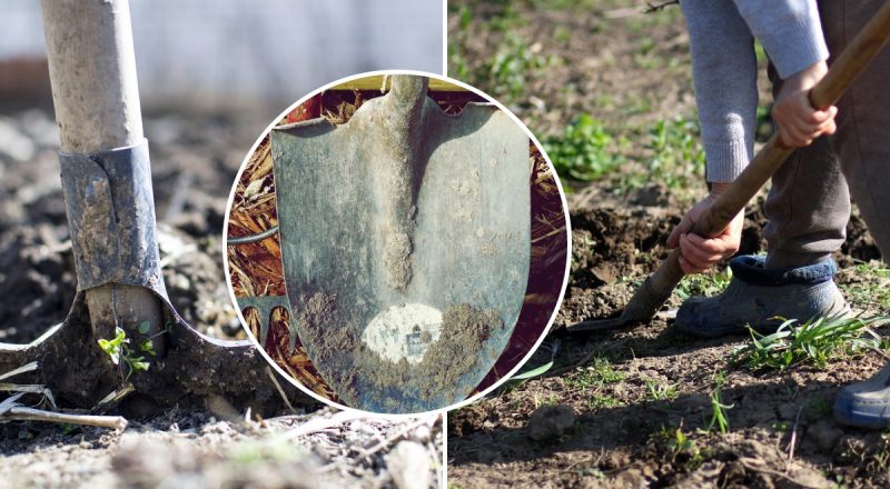 Чем обработать лопату, чтобы не прилипала земля: забудете о грязном инструменте