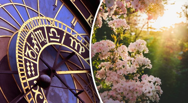 Гороскоп на завтра 30 марта 2024: Весам - совет от друга, Девам - соперничество