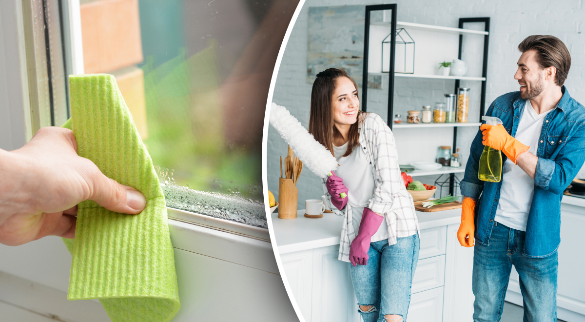 Как избавиться от высокой влажности в квартире: 5 основных правил, чтобы устранить проблему