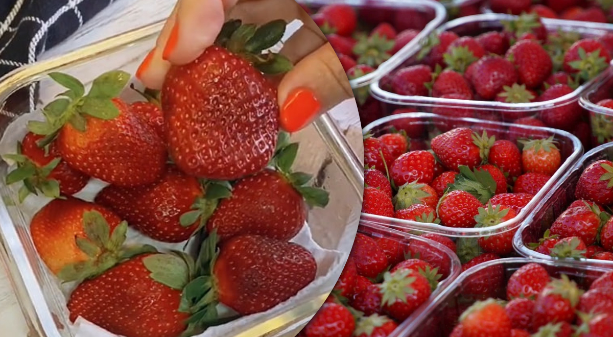 Клубника будет свежей всю неделю: гениальный способ хранения ягод
