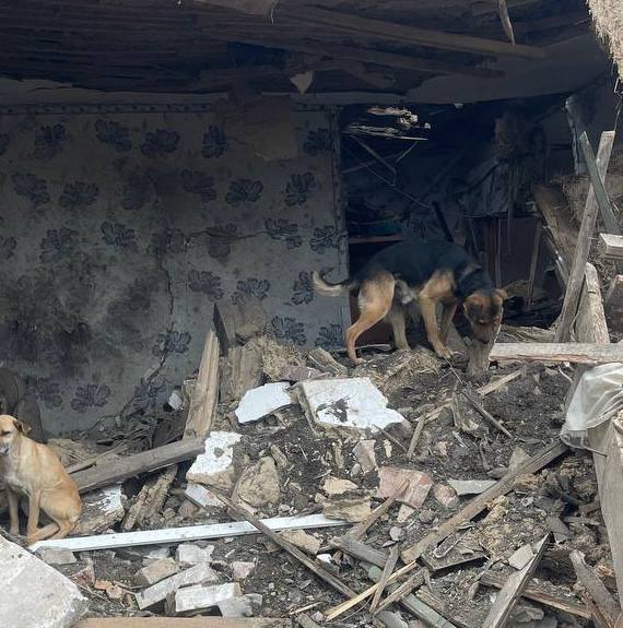 РФ убили ракетами всю сім'ю в місті Синельникове РФ убили ракетами всю сім'ю в місті Синельникове