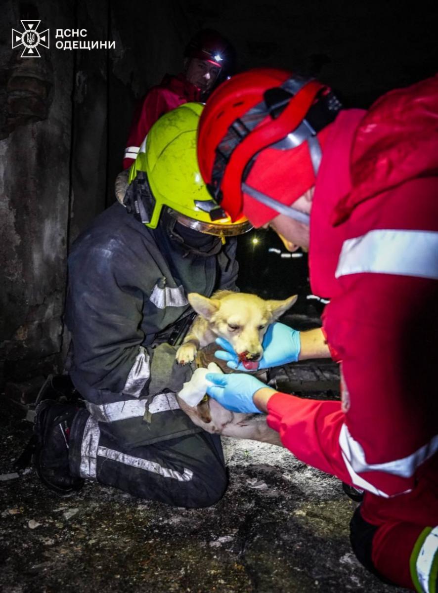 Ночная атака дронов на Одесскую область