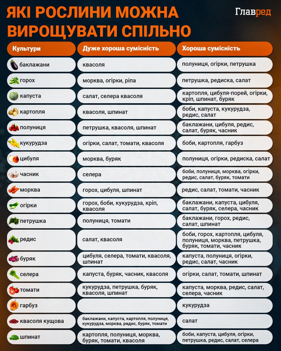 У чому замочити розсаду перед посадкою: копійчаний засіб врятує весь урожай У чому замочити розсаду перед посадкою: копійчаний засіб врятує весь урожай