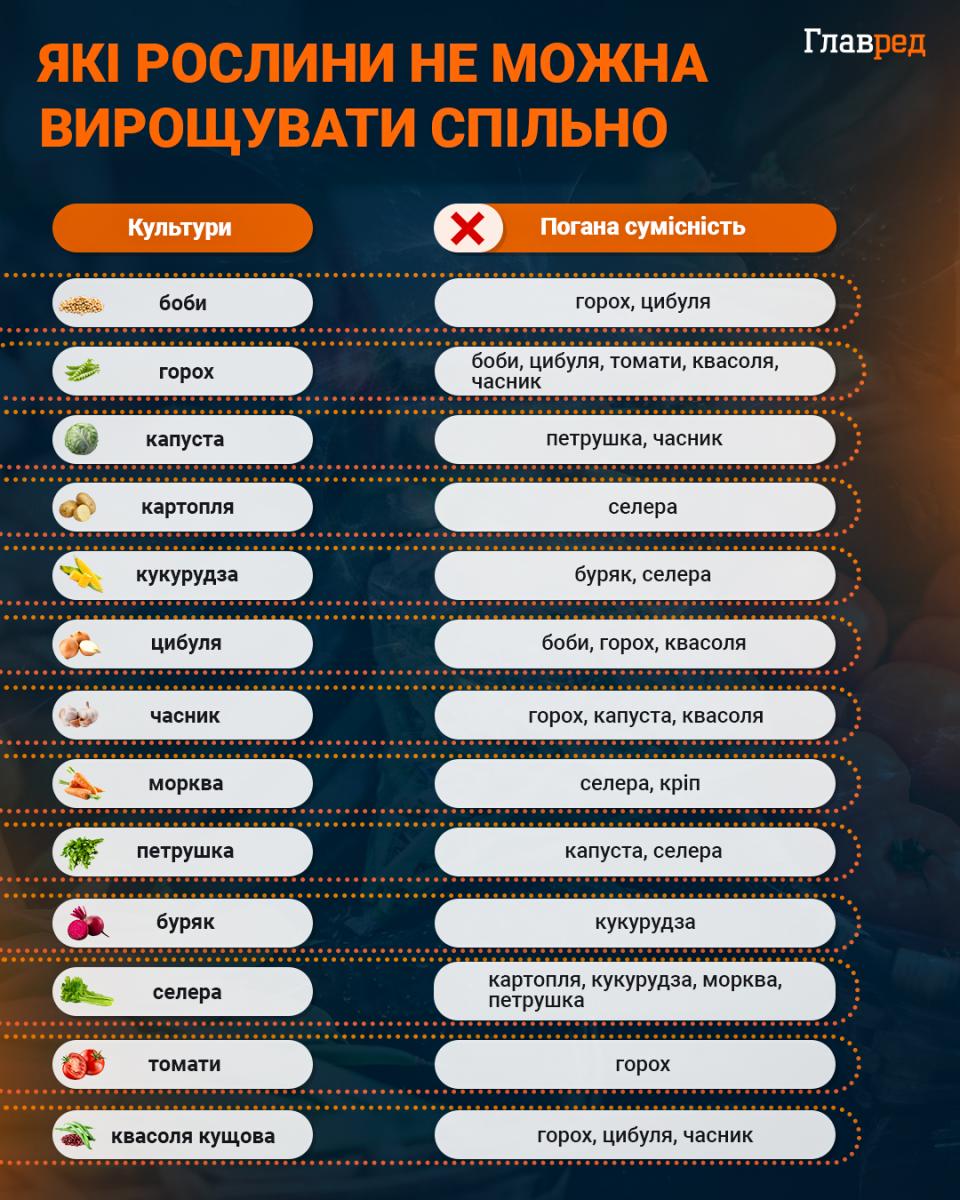 Чоловік перетворив тьмяну траву на пишний газон за 4 тижні: він назвав 5 простих кроків Чоловік перетворив тьмяну траву на пишний газон за 4 тижні: він назвав 5 простих кроків
