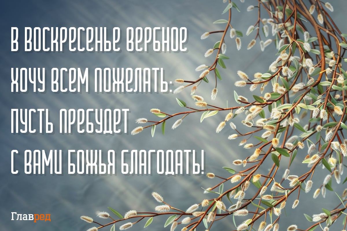 С Вербным воскресеньем - душевные картинки и поздравления с праздником -  Главред