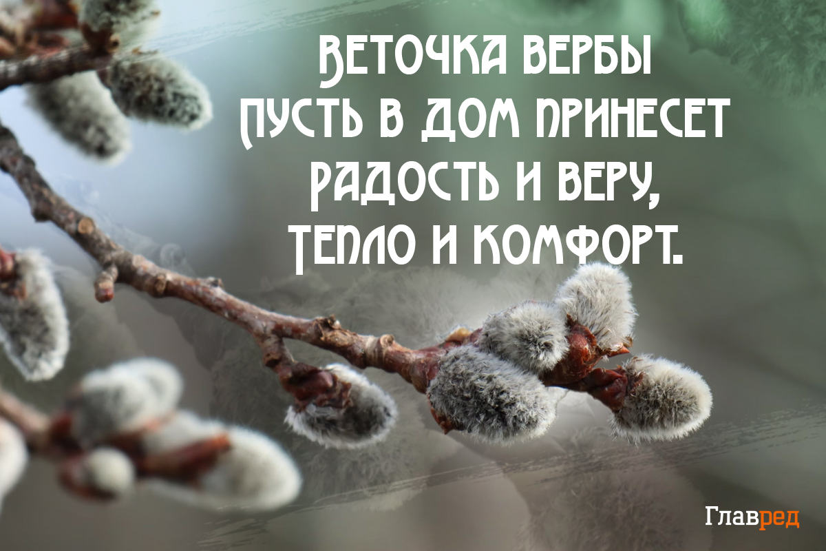 С вербным воскресеньем открытки С вербным воскресеньем открытки