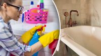 Як очистити дуже забруднену ванну, не зіпсувавши її: 3 найкращі способи