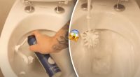 Покаже неймовірний результат: як очистити унітаз піною для гоління