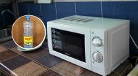 Як легко і швидко помити мікрохвильовку: про диво-способи знають лише одиниці