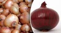 В чем разница между красным, белым и желтым луком: где какой использовать