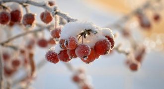 Влупит -3 градуса и зальет грозовыми дождями: в Украину ворвалась холодина