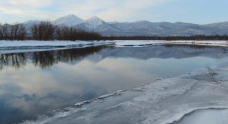 Украину накрывают заморозки: где температура воздуха опустится до -8 градусов
