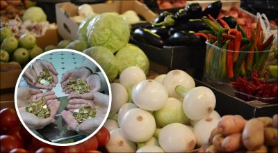 Овочі, монети