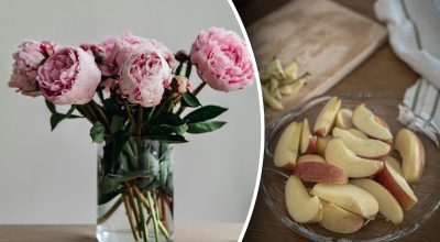 Що покласти у вазу, щоб квіти довше стояли: жінка показала дивовижний трюк Що покласти у вазу, щоб квіти довше стояли: жінка показала дивовижний трюк