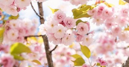 Несподівана зміна погоди: названо терміни переміни температури в Києві