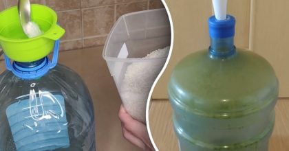 3 лучших способа, как очистить бутылку для воды от зелени: от загрязнений не будет и следа