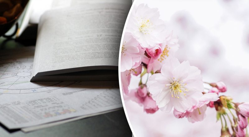 Гороскоп на сегодня 2 апреля 2024: Рыб будут раздражать, Тельцам - перемены