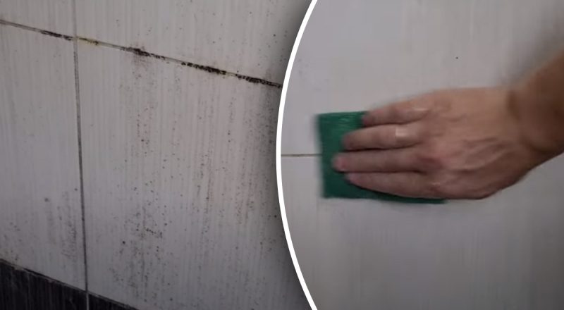 Как убрать грибок на швах в ванной: народные средства, которые точно помогут