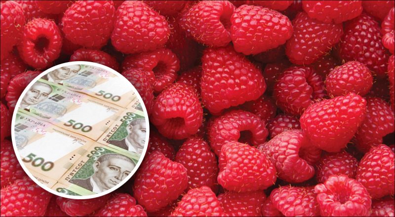 Ціни б'ють рекорди: в Україні різко подорожчала популярна ягода-ласощі