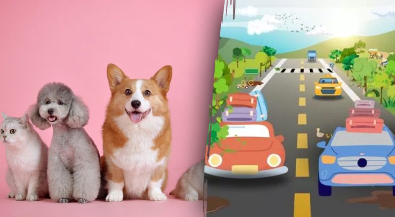 Головоломка на перевірку зору: потрібно знайти шість тварин за 25 секунд