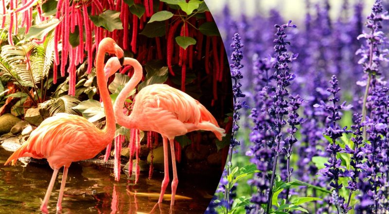 Китайский гороскоп на сегодня 21 июня: Петухам - плохое настроение, Собакам - скандалы