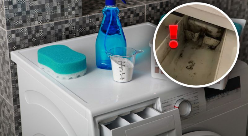 Як очистити лоток для порошку в пральній машині: знахідка вас здивує