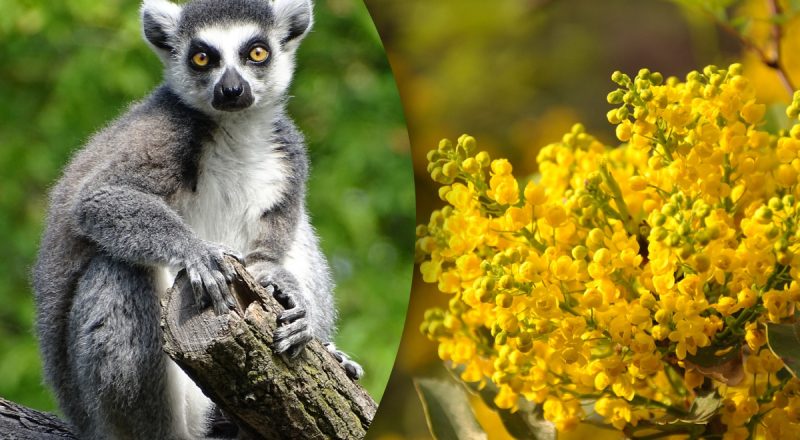 Китайський гороскоп на сьогодні 25 квітня: Змії - проблеми зі здоров'ям, Кроликам - великі суперечки