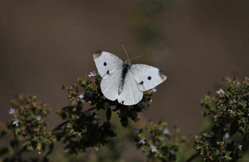Что нельзя делать 27 апреля: важные приметы дня