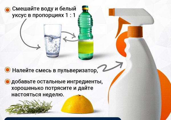 Универсальное чистящее средство своими руками