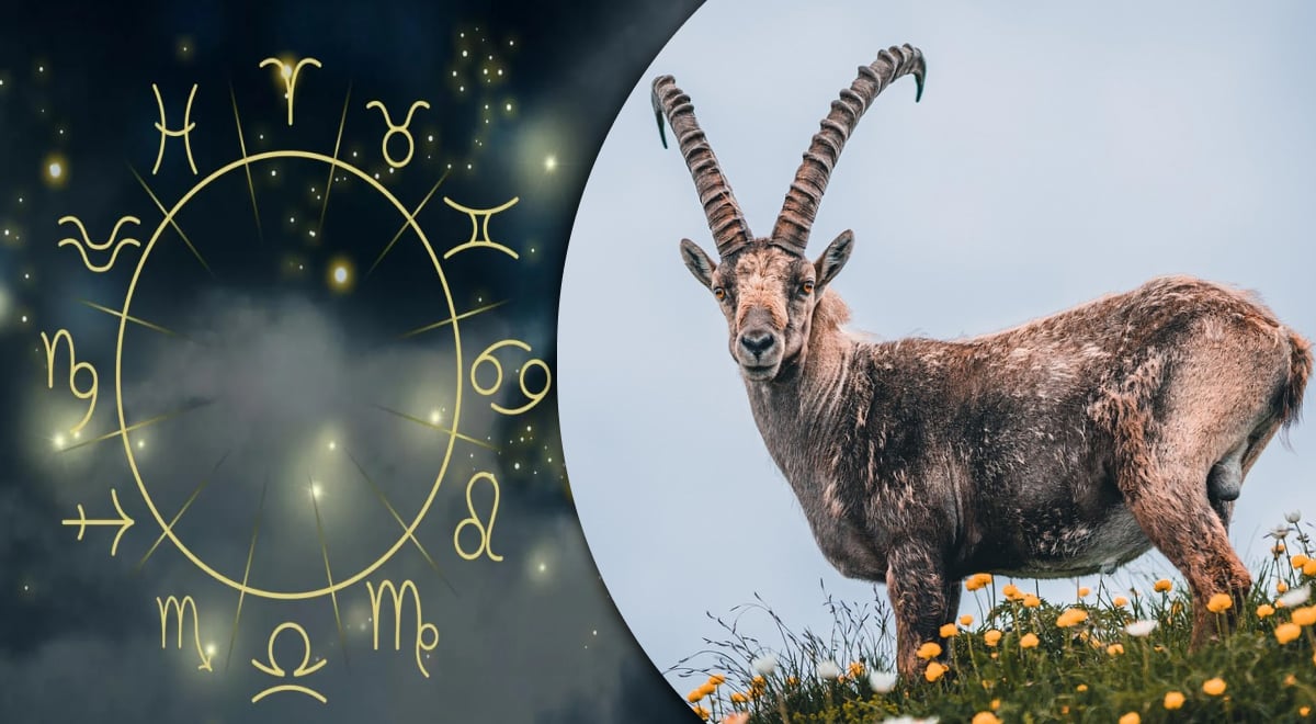 Финансовая ситуация в 2026 году потребует от Козерога повышенного внимания, его могут Финансовая ситуация в 2026 году потребует от Козерога повышенного внимания, его могут