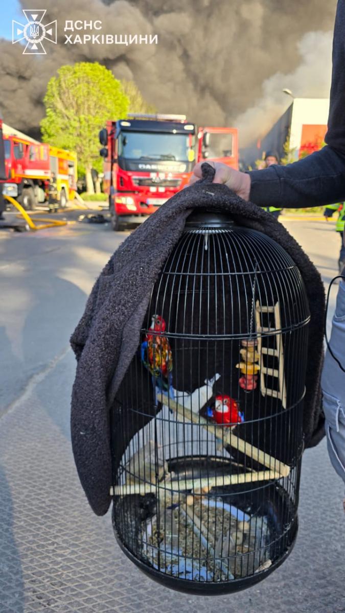Наслідки атаки РФ по Харкову 4 травня