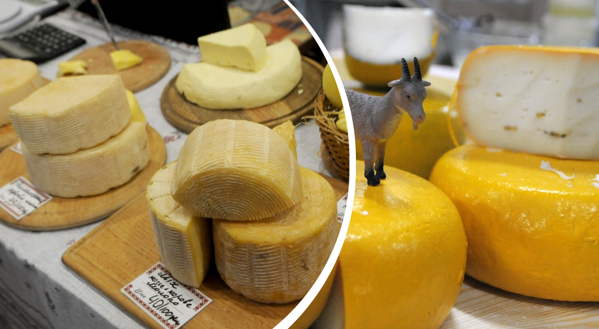 Подойдут рассол, уксус и не только: как сохранить сыр свежим на 6 недель дольше