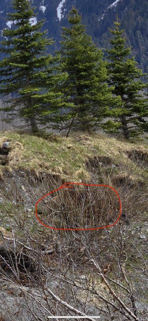 Правильный ответ на головоломку Правильный ответ на головоломку