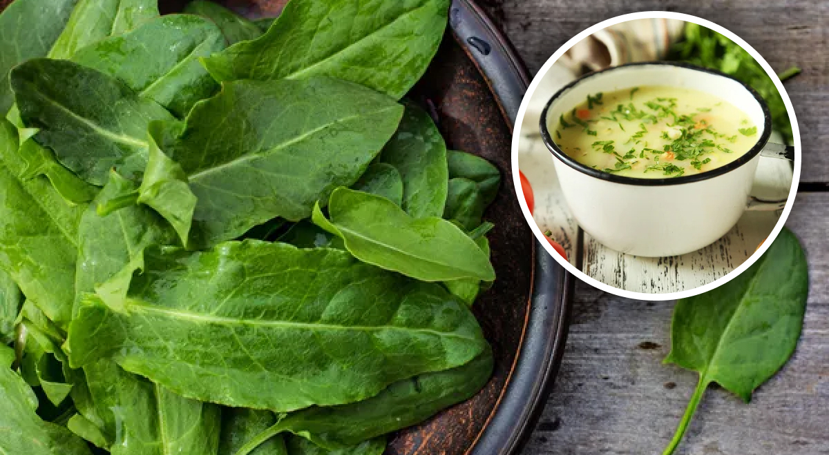 Вы всю жизнь готовили неправильно: невероятный рецепт зеленого борща
