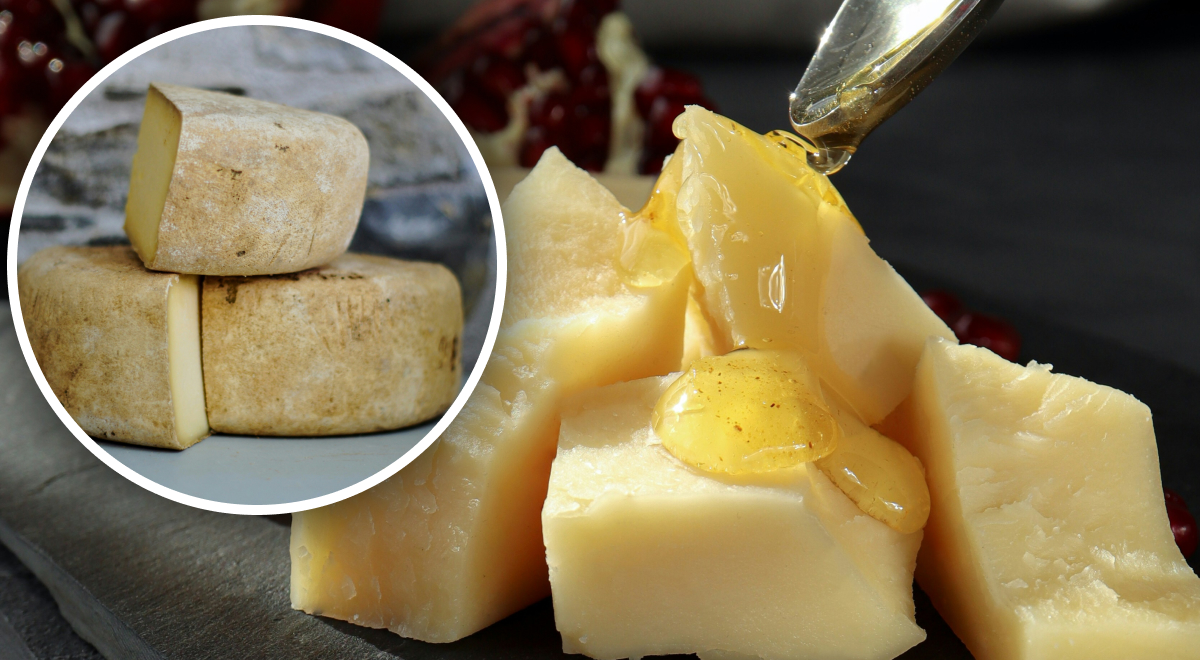 Из чего на самом деле изготавливают сыр пармезан: люди удивлены процессом