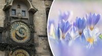 Гороскоп на тиждень з 13 по 19 травня: Рибам - лінь, Дівам - цінний подарунок