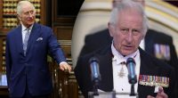 Чому він по горло в крові?: новий портрет Чарльза III нажахав Мережу