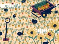 Ребус для тих, у кого блискучий зір: треба за 13 секунд знайти дорогу каблучку