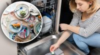 Як не можна мити посуд у посудомийці: експерт розкрив серйозні помилки