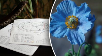Гороскоп на неделю Гороскоп на неделю
