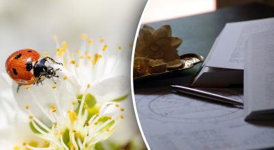 Фінансовий гороскоп на тиждень Фінансовий гороскоп на тиждень